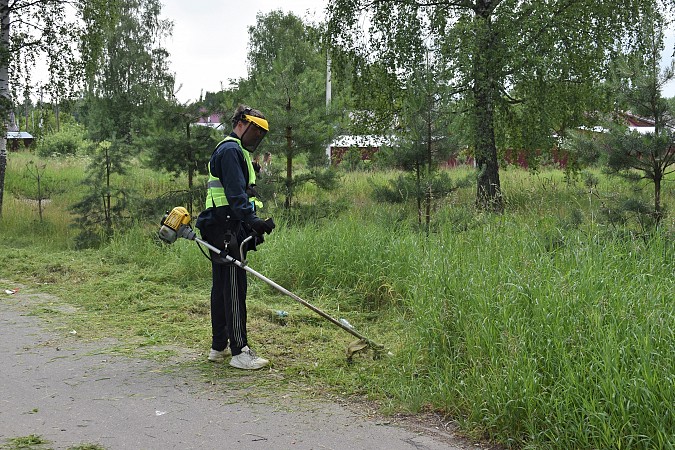 В Кинешме к покосу травы привлекли подрядную организацию фото 2