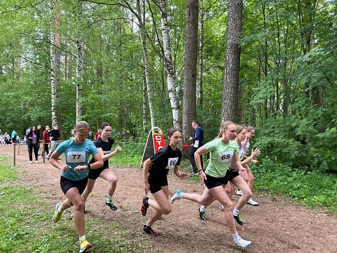 В Кинешме прошло первенство города по легкоатлетическому кроссу фото 2