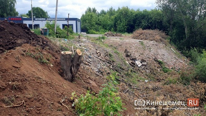 Кто разрешил завалить овраг на Лесозаводе землей с мусором? фото 7