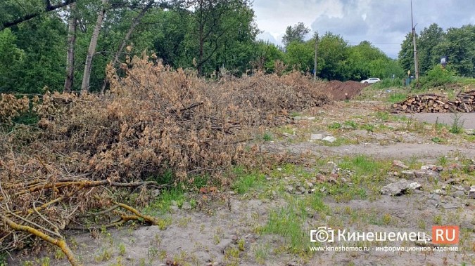 Кто разрешил завалить овраг на Лесозаводе землей с мусором? фото 3