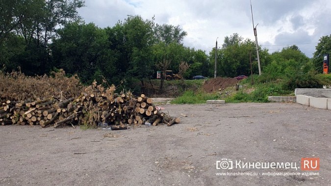 Кто разрешил завалить овраг на Лесозаводе землей с мусором? фото 12