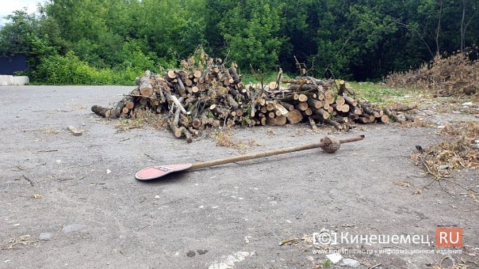 Кто разрешил завалить овраг на Лесозаводе землей с мусором? фото 11