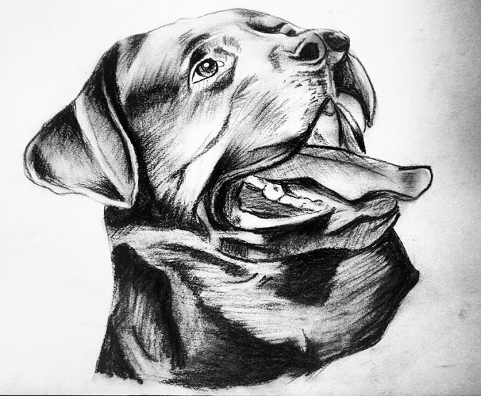 Полтора года ада и новая жизнь фото 5