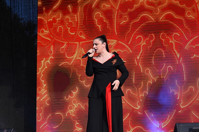 В День Кинешмы состоялся большой концерт Родиона Газманова и движения ГАЗМАНОВ-РОДНИКИ фото 7