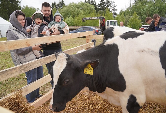 Традиционный «День поля» прошел в Ивановской области фото 5