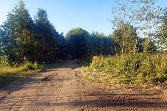 В Кинешемском районе начался ремонт дороги к деревне Сергеевка фото 2