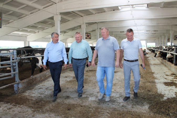В Родниковском районе ввели в эксплуатацию молочный комплекс на 500 коров фото 3