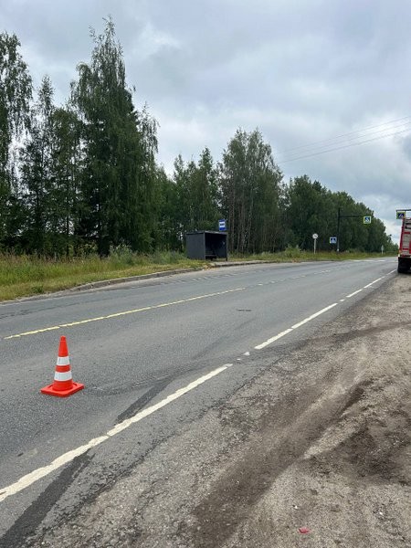 На автодороге Ковров-Шуя-Кинешма погиб водитель «Нивы» фото 2