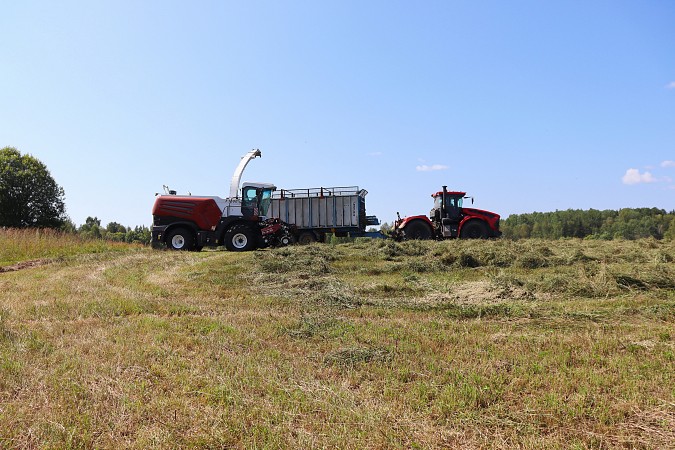 В Ивановской области выросли темпы заготовки кормов для животноводства фото 2