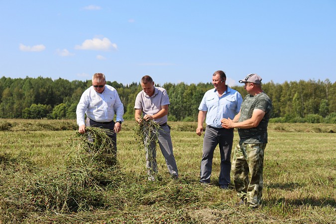 В Ивановской области выросли темпы заготовки кормов для животноводства фото 5
