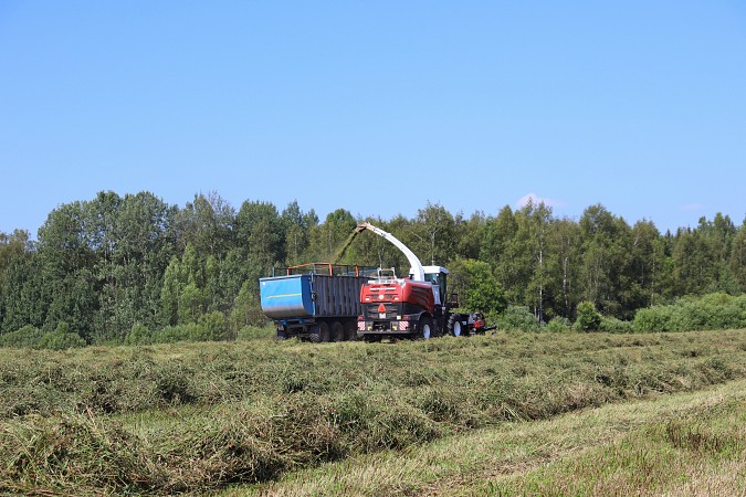 В Ивановской области выросли темпы заготовки кормов для животноводства фото 3