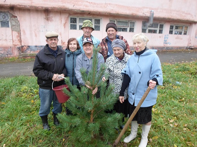 Активисты посадили молодые деревца фото 7