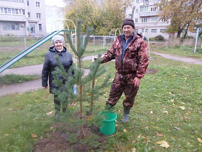 Активисты посадили молодые деревца фото 8