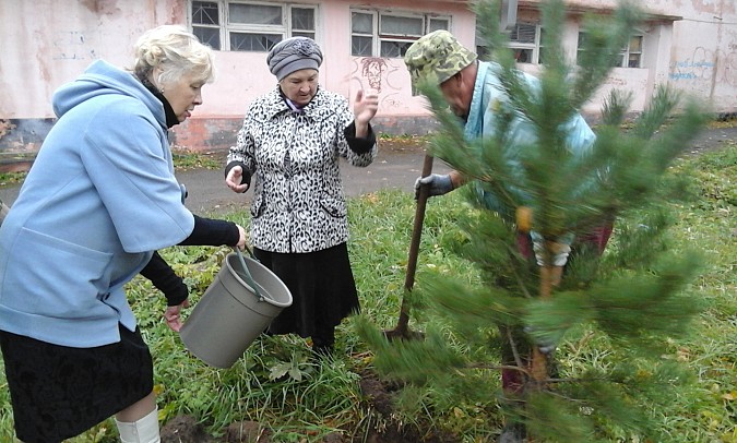 Активисты посадили молодые деревца фото 2