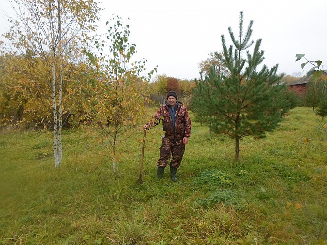 Активисты посадили молодые деревца фото 4