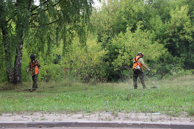 УГХ Кинешмы приступило к ремонту детских площадок фото 5