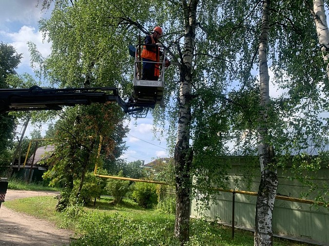 На улицах Льва Толстого и ул.Юрьевецкой спилили аварийные деревья фото 3