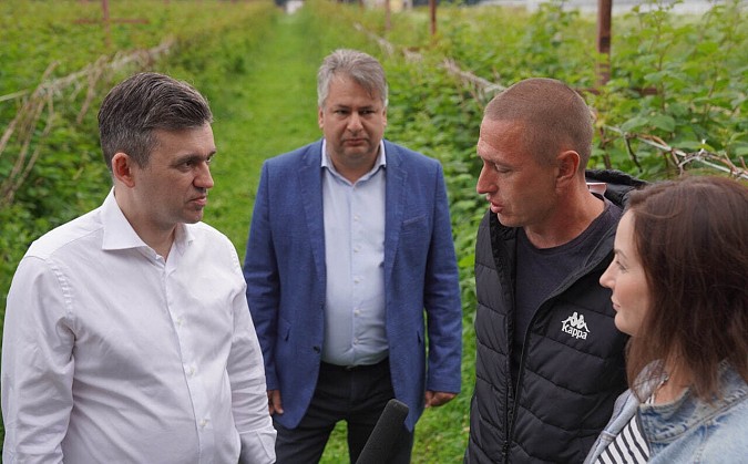 Площадь плодово-ягодных насаждений в регионе за последние годы увеличилась в 25 раз фото 2