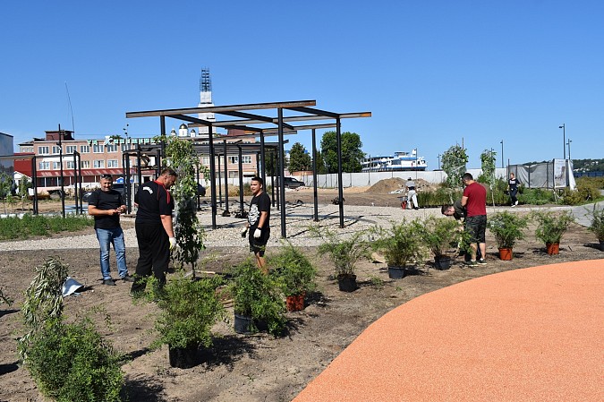 Волонтеры помогли в озеленении территории стрелки у Никольского моста фото 6