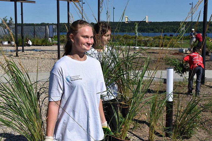 Волонтеры помогли в озеленении территории стрелки у Никольского моста фото 7