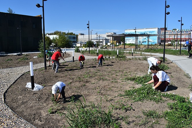 Волонтеры помогли в озеленении территории стрелки у Никольского моста фото 2