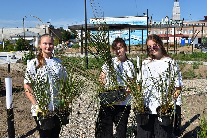 Волонтеры помогли в озеленении территории стрелки у Никольского моста фото 4