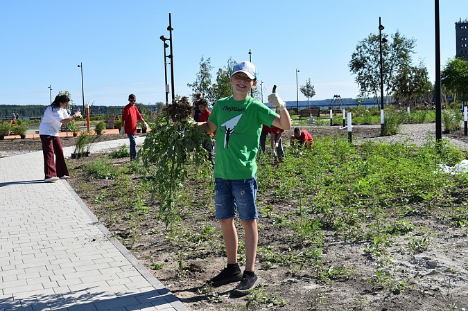Волонтеры помогли в озеленении территории стрелки у Никольского моста фото 8
