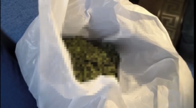 72-летний житель Кохмы выращивал на огороде коноплю фото 4