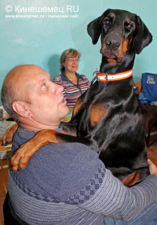 Всероссийская выставка собак прошла в Ивановской области фото 34