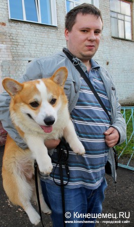 Всероссийская выставка собак прошла в Ивановской области фото 32