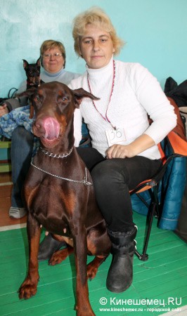 Всероссийская выставка собак прошла в Ивановской области фото 4