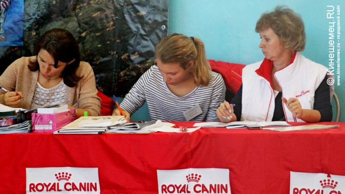 Всероссийская выставка собак прошла в Ивановской области фото 37