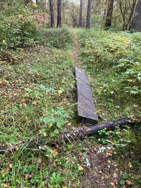 В центральном парке Кинешмы вандалы громят лавки, сделанные энтузиастом фото 3