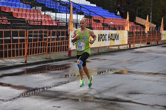 На старт «Кросса Нации» в Кинешме вышли более 1000 участников фото 4