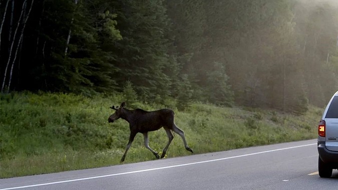 ФОТО: пресс-служба правительства Ивановской области