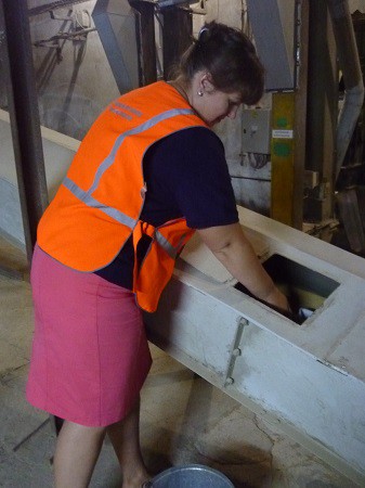 300 тонн импортного зерна поступило в Ивановскую область фото 2