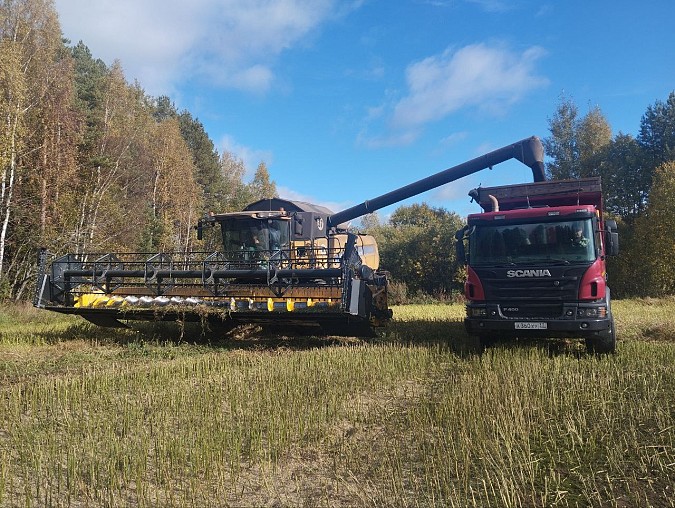 В Кинешемском районе завершается уборочная компания фото 4