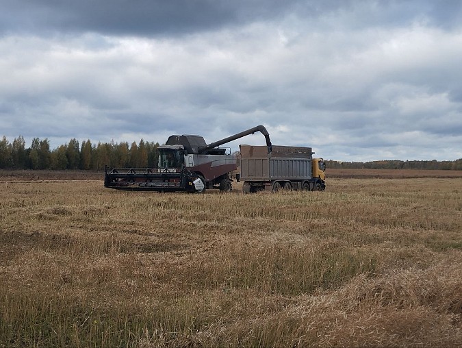 В Кинешемском районе завершается уборочная компания фото 2