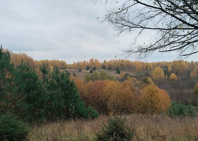 Студенты ИвГУ совершили экспедицию по местам съемок кино в Кинешме фото 2