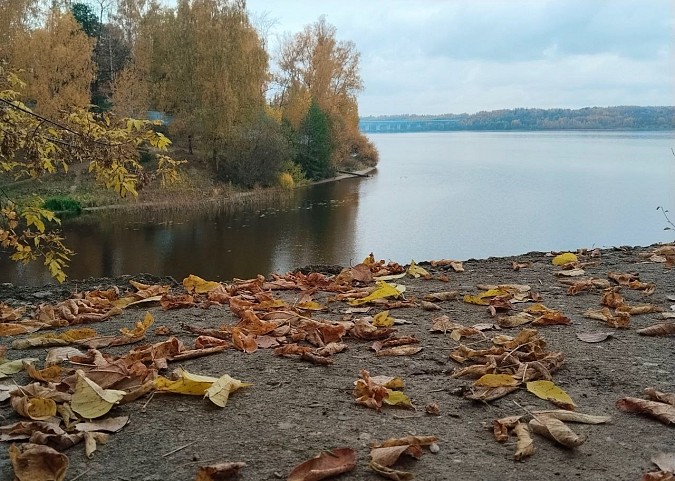 Студенты ИвГУ совершили экспедицию по местам съемок кино в Кинешме фото 7