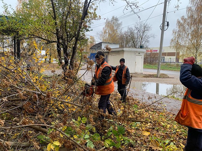 В Кинешме рабочие УГХ собирают упавшую листву фото 4
