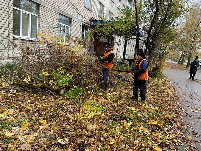 В Кинешме рабочие УГХ собирают упавшую листву фото 3