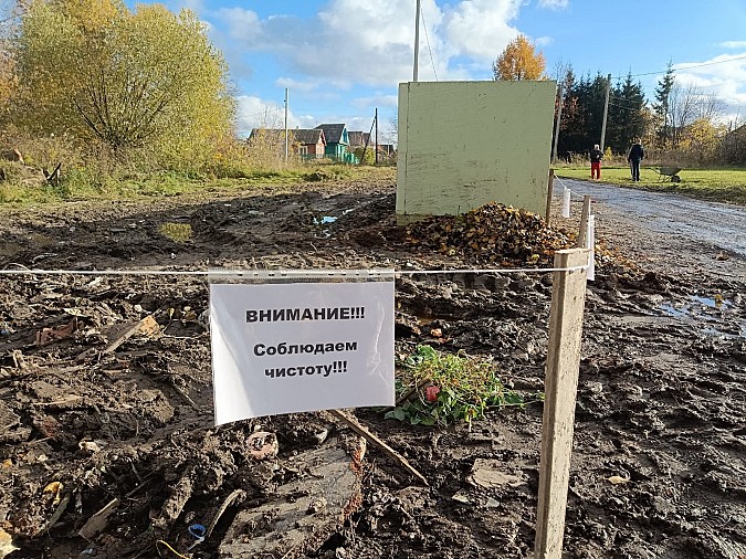 Жителей Кинешмы продолжают нести древесно-растительные отходы на контейнерные площадки фото 5