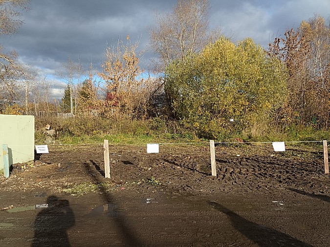 Жителей Кинешмы продолжают нести древесно-растительные отходы на контейнерные площадки фото 4