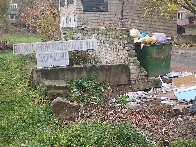Жителей Кинешмы продолжают нести древесно-растительные отходы на контейнерные площадки фото 2