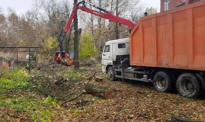 Жителей Кинешмы продолжают нести древесно-растительные отходы на контейнерные площадки фото 3