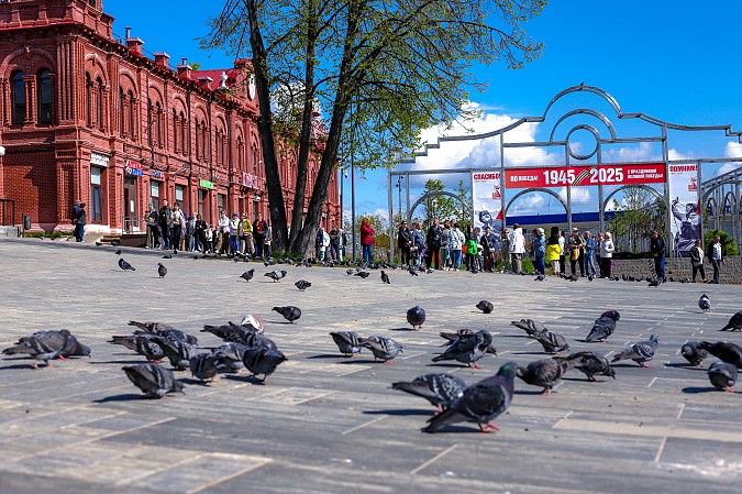 В Кинешме завершился сезон круизной навигации фото 9
