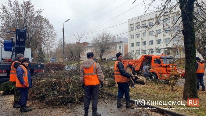 На улице Фрунзе выпилили аварийные деревья фото 3
