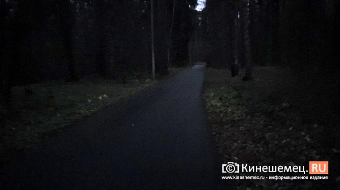 На лыжероллерной трассе в Кинешме дети тренируются в полной темноте фото 5