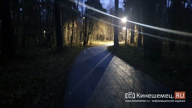 На лыжероллерной трассе в Кинешме дети тренируются в полной темноте фото 7